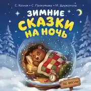 Постер книги Зимние сказки на ночь