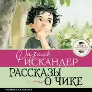 Постер книги Рассказы о Чике