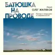 Постер книги Батюшка на проводе. Беседа о традициях и современности