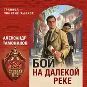 Постер книги Бой на далекой реке