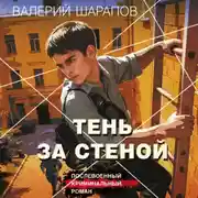 Постер книги Тень за стеной