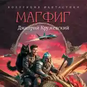 Постер книги Магфиг