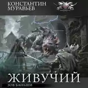 Постер книги Зов Баньши