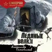 Постер книги Ледяные волки
