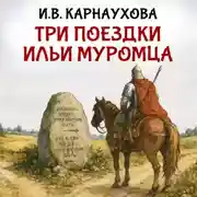 Постер книги Три поездки Ильи Муромца