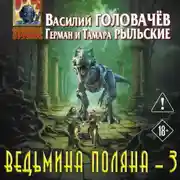 Постер книги Ведьмина поляна – 3