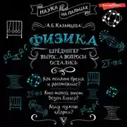 Постер книги Физика. Шрёдингер вырос, а вопросы остались