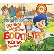 Постер книги Богатыри. Вольга и чёрные рыцари. Вольга и дракон (сборник)