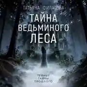 Постер книги Тайна Ведьминого леса