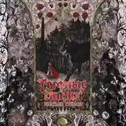 Постер книги Тёмные сказки братьев Гримм