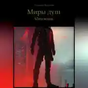 Постер книги Миры Душ. Мятежник