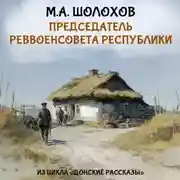 Постер книги Председатель реввоенсовета республики