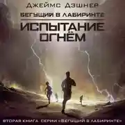 Постер книги Испытание огнем