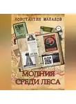 Константин Малахов - Молния среди леса