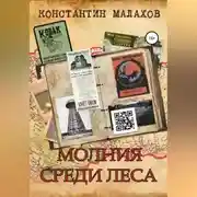 Постер книги Молния среди леса