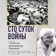 Постер книги Сто суток войны