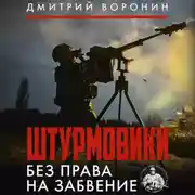 Постер книги Штурмовики. Без права на забвение