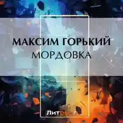 Постер книги Мордовка