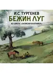 Иван Тургенев - Бежин луг (из цикла «Записки охотника»)