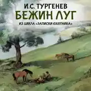 Постер книги Бежин луг (из цикла «Записки охотника»)