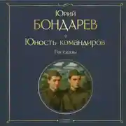 Постер книги Юность командиров