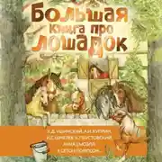 Постер книги Большая книга про лошадок