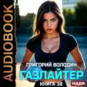Постер книги Газлайтер. Книга 38