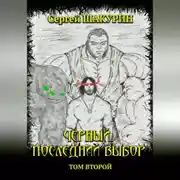Постер книги Черный. Последний выбор. Том второй