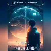 Постер книги Конькобежцы