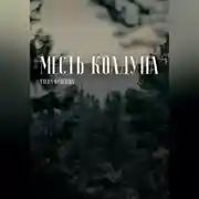 Постер книги Месть колдуна
