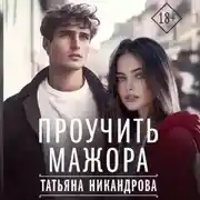 Постер книги Проучить мажора