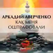 Постер книги Как меня оштрафовали