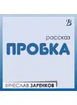Вячеслав Заренков - Пробка