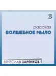 Вячеслав Заренков - Волшебное мыло