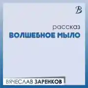 Постер книги Волшебное мыло
