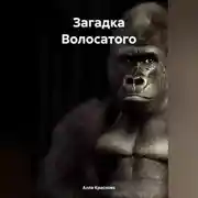 Постер книги Загадка Волосатого
