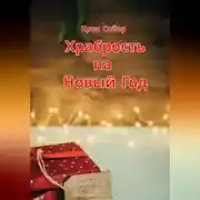 Постер книги Храбрость на Новый Год