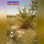 Постер книги Кактус Кирилл