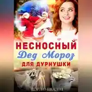 Постер книги Несносный Дед Мороз для дурнушки