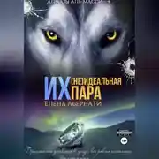 Постер книги Их (не)идеальная пара