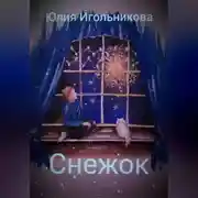 Постер книги Снежок