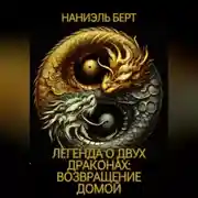 Постер книги Легенда о двух драконах: возвращение домой