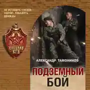 Постер книги Подземный бой