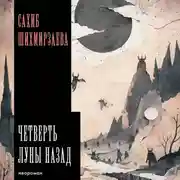 Постер книги Четверть луны назад