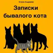Постер книги Записки бывалого кота