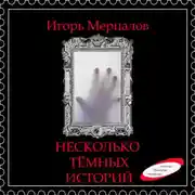 Постер книги Несколько тёмных историй (аудиоверсия)