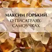 Постер книги О писателях-самоучках