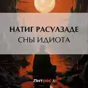 Постер книги Сны идиота