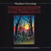 Постер книги Приключения на Изнанке. Исчезновение волшебника