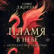 Постер книги Пламя в небе